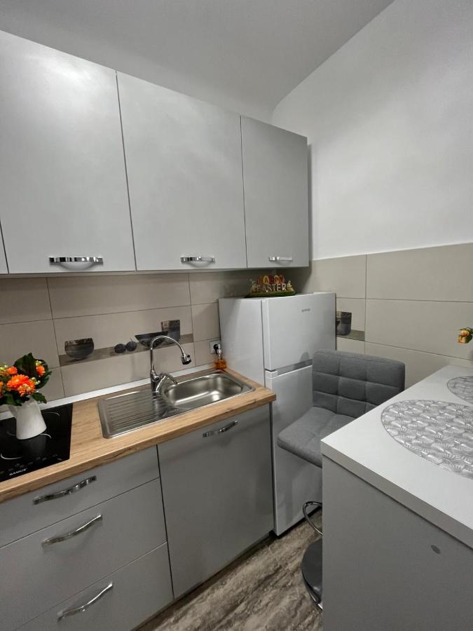 Central Studio Brašov Exteriér fotografie