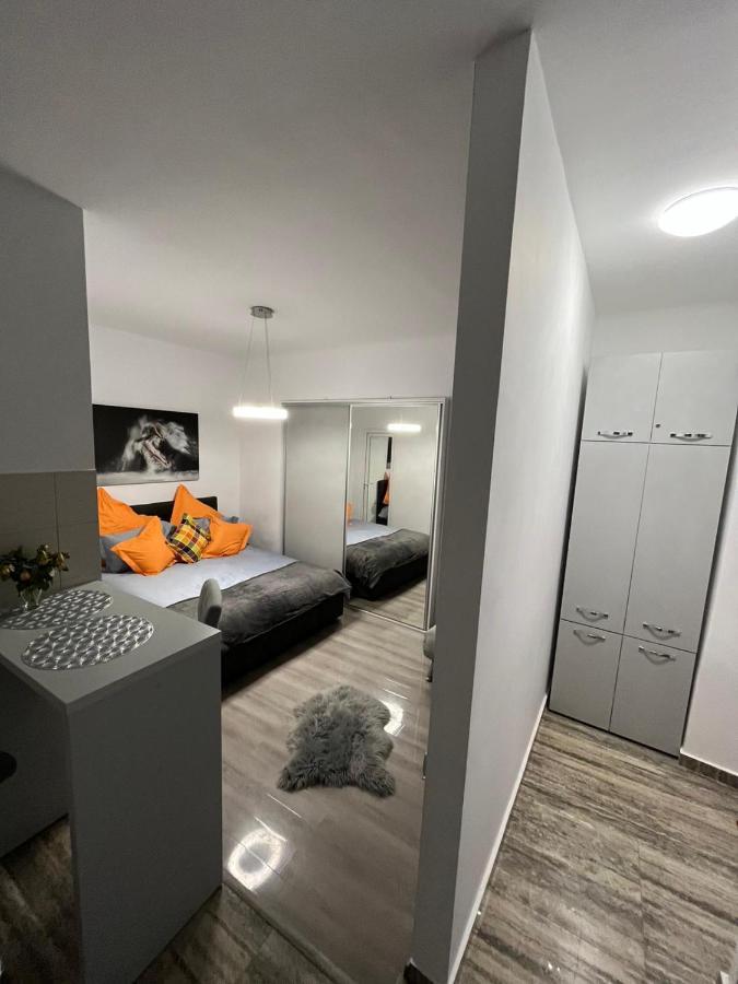 Central Studio Brašov Exteriér fotografie